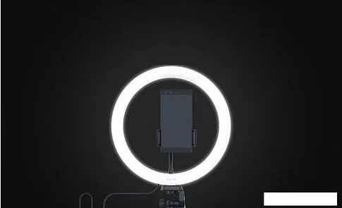 Кольцевая лампа Razer Ring Light 12"