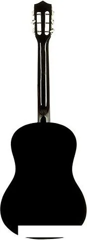 Акустическая гитара Belucci BC3825 BK