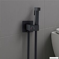 Гигиенический душ Lauter Rainix 21LT7712BM