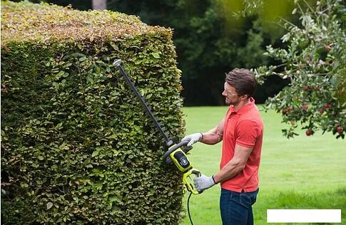 Кусторез Ryobi RHT6160RS