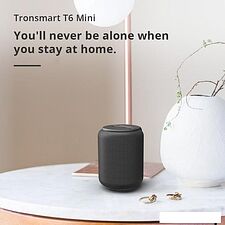 Беспроводная колонка Tronsmart T6 Mini (черный) Беспроводная колонка Tronsmart T6 Mini (черный)