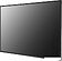 Интерактивная панель LG 32TNF5J-B