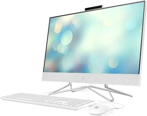 Моноблок HP 24-df1 4X5E0EA+SNV2S/250G