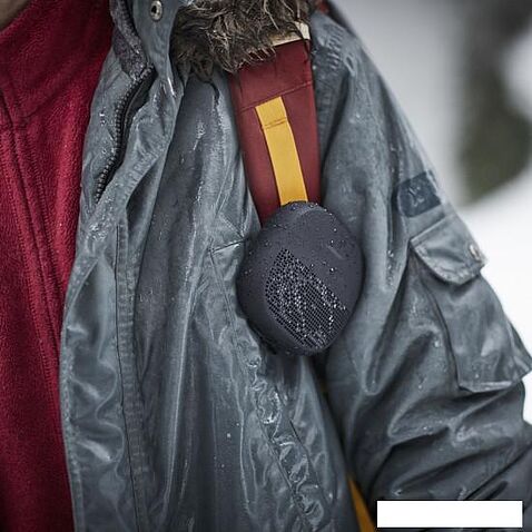 Беспроводная колонка Bose SoundLink Micro