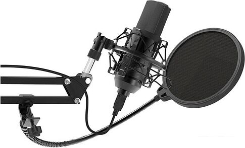 Микрофон Ritmix RDM-169