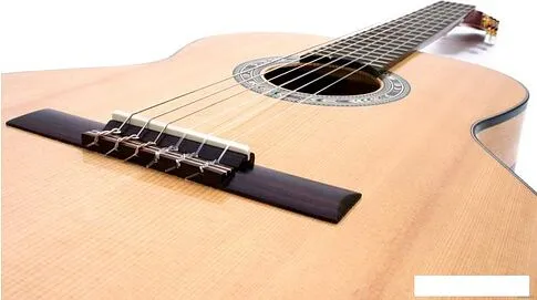 Акустическая гитара Kremona R65S