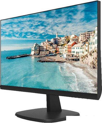 Монитор Hikvision DS-D5024FN