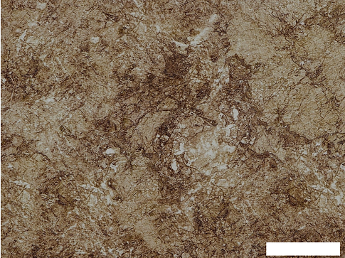 Шкаф напольный Кортекс-мебель Корнелия Мара НШ60р1ш (красный-мадрид)