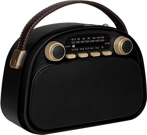 Радиоприемник Ritmix RPR-040 (черный)