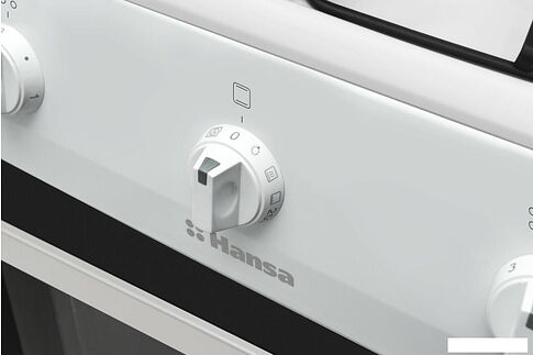 Кухонная плита Hansa FCGW510009H
