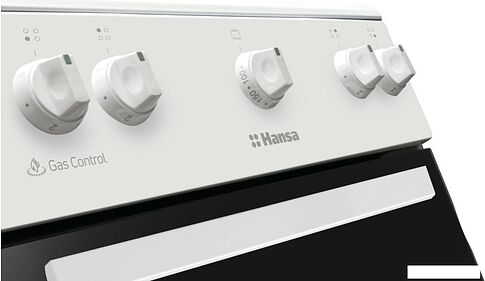 Кухонная плита Hansa FCGW510009H