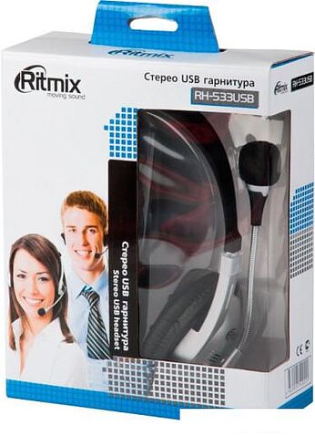 Наушники с микрофоном Ritmix RH-533 USB (серебристый)