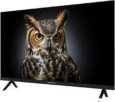 Телевизор Topdevice 32" SALUTE TV TDWC32BH4260V