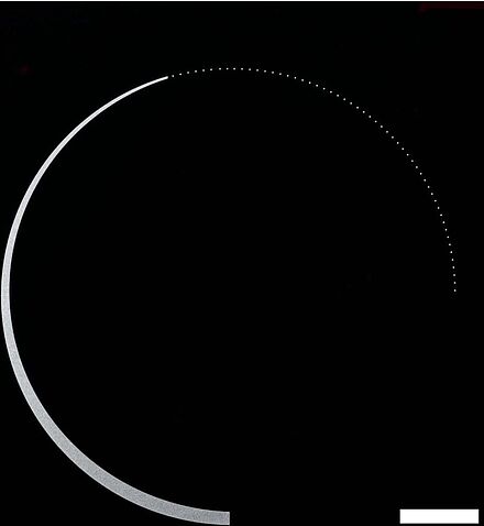 Варочная панель Krona Neckar 60 BL