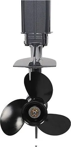 Лодочный мотор Allfa T20