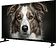 Телевизор Topdevice 32" Google TV TDWC32BH5260V