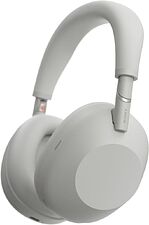 Наушники Sony WH-1000XM6 (серый)