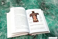 Книга издательства АСТ. Анатомия хатха-йоги (Коултер Дэвид)