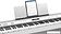 Цифровое пианино Roland FP-60X (белый)