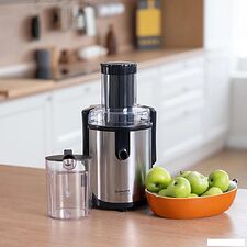 Соковыжималка Scarlett SC-JE50S61 Соковыжималка Scarlett SC-JE50S61