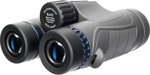Бинокль Levenhuk Nitro 8x42 (черный)