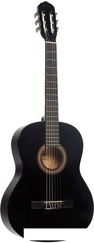 Акустическая гитара Terris TC-390A BK