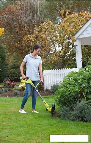 Триммер Ryobi RLT1831H25F