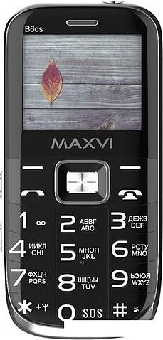 Кнопочный телефон Maxvi B6ds (черный)