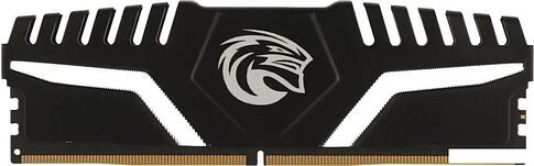Оперативная память KingSpec Storm 8ГБ DDR5 4800 МГц KS4800D5M11016G