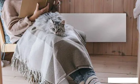 Инфракрасный обогреватель Joule JPSH02 (черный)