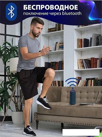 Беспроводная колонка Aiwa PAS-H300 (темно-синий)