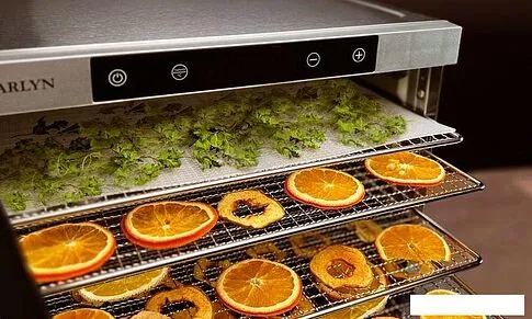 Сушилка для овощей и фруктов Garlyn D-10