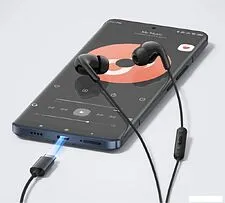 Наушники Xiaomi Type-C Earphones M2413E1 (черный, международная версия) Наушники Xiaomi Type-C Earphones M2413E1 (черный, международная версия)