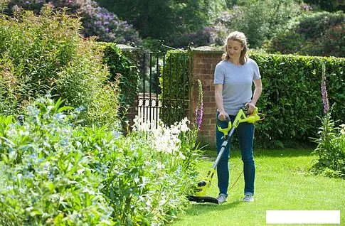 Триммер Ryobi RLT1831H25F