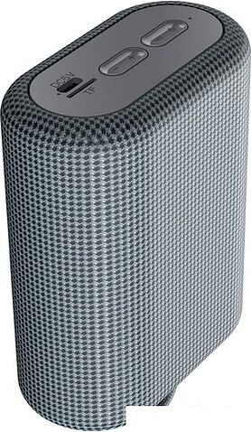 Беспроводная колонка Canyon CNE-CBTSP4DG