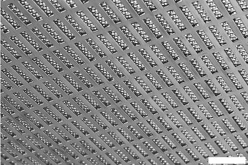 Кухонная вытяжка KUPPERSBERG Dudl 4 BL