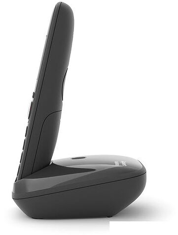 Радиотелефон Gigaset AS690 DUO (черный)