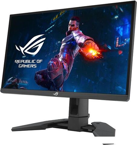 Игровой монитор ASUS ROG Swift Pro PG248QP