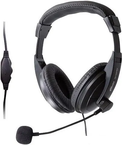 Наушники с микрофоном Ritmix RH-524M