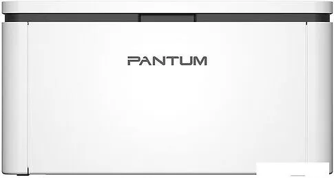 Принтер Pantum BP2300W