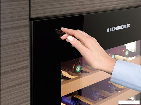 Винный шкаф Liebherr WKEgb 582