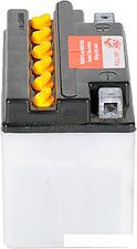 Мотоциклетный аккумулятор FIAMM FB4L-B (4 А/ч)