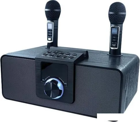 Беспроводная колонка Ritmix SP-660B