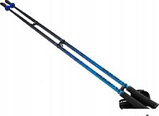 Треккинговые палки Viking Pro-Trainer 650/20/7879-0015 (р. 110, синий) Треккинговые палки Viking Pro-Trainer 650/20/7879-0015 (р. 110, синий)