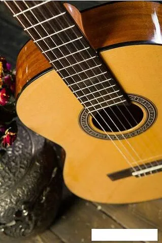 Акустическая гитара Flight C-120 NA 1/2