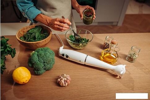 Погружной блендер AccesStyle HB7011W