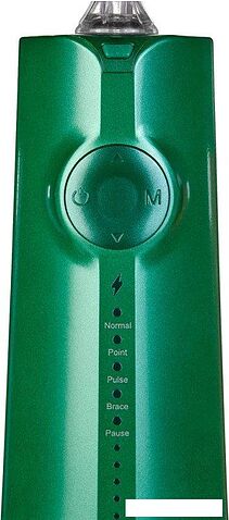 Ирригатор  Revyline RL 610 (зеленый)