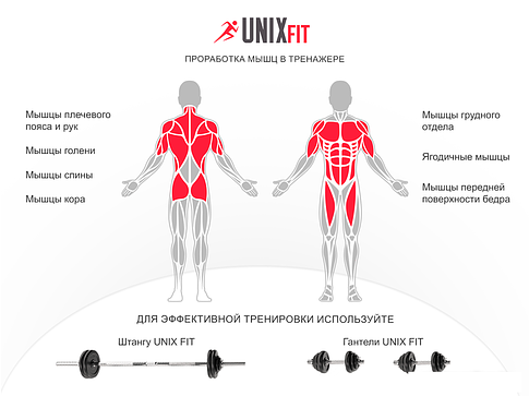 Турник с брусьями Unixfit Power Tower 150P