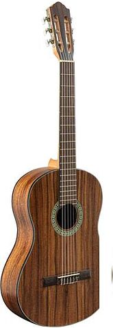 Акустическая гитара Flight C-110 Teak 4/4