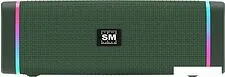 Беспроводная колонка Soundmax SM-PS5019B (зеленый)